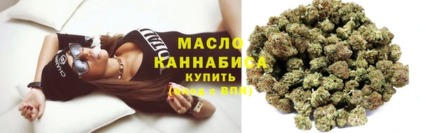 крисы Богородицк