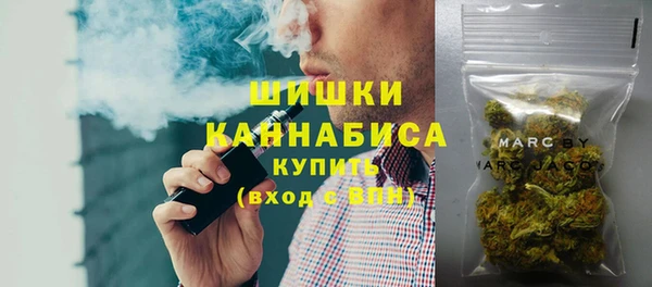 крисы Богородицк