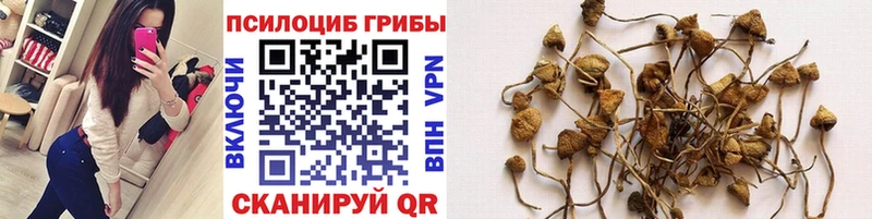 хочу   Воскресенск  Псилоцибиновые грибы мухоморы 
