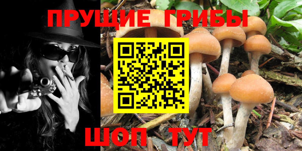 закладки  Вход с VPN  Воскресенск  Галлюциногенные грибы Psilocybine cubensis 